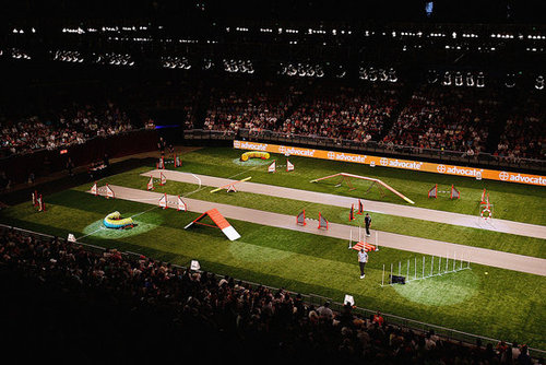 Acer Arena Acer Arena