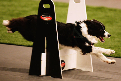 Clear Those Hurdles Clear Those Hurdles