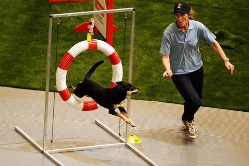 Jump Through Hoops Jump Through Hoops