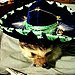 Olé