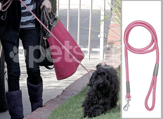 January Jones and Her Pooch Take a Stroll