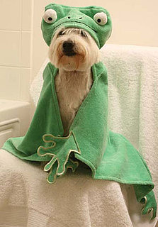 Barnyard Friends Hooded Towels: Spoiled Sweet or Spoiled Rotten?