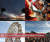 Photos from the 2009 Treasure Island Music Festival