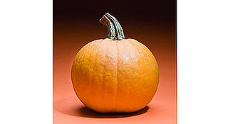 Buzz Brainteaser: Halloween Edition!