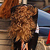 Guess Who?