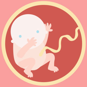 Womb Transplants to Become a Reality Sooner Than Later