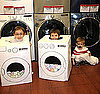 Sugarbabies: The Washer, Dryer and Lost Sock