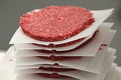 Hamburgers and Ground Beef Pose Risk of E.Coli Hamburgers and Ground Beef Pose Risk of E.Coli