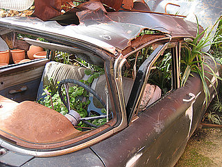 Cool Idea: A Car Turned Planter