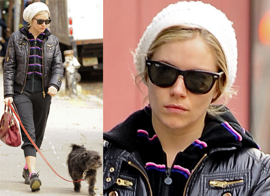 Photos of Sienna Miller Walking Her Dog in New York