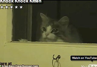 Happy Caturday! 