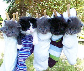 The Dark Side of Cute