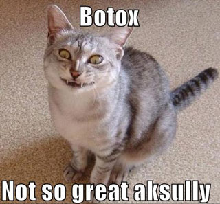 DIY Online Botox and Restylane 2009-12-04 12:00:19