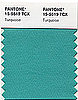 And the Pantone Color of the Year for 2010 Is . . .  