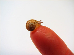 Snail Slime Skin Care