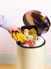 Study Reveals UK Throws Away $20 Billion in Food a Year