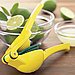 Two-in-One Citrus Juicer