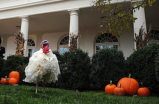 Yummy Links: From Pardoned Turkeys to Healthy Stuffing