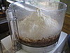 Classic Pumpkin Pie Recipe With Pecan Crust 2009-11-23 12:47:04