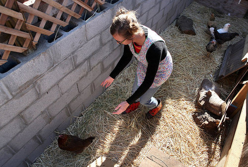 This Week's Food News: Dec. 16, 2009