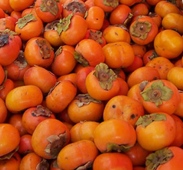 Persimmon