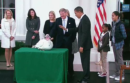 Quiz: Pardon Me, Little Turkey, It's 2009!