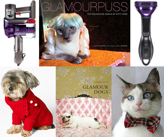 Pet's December Must Haves Pet's December Must Haves