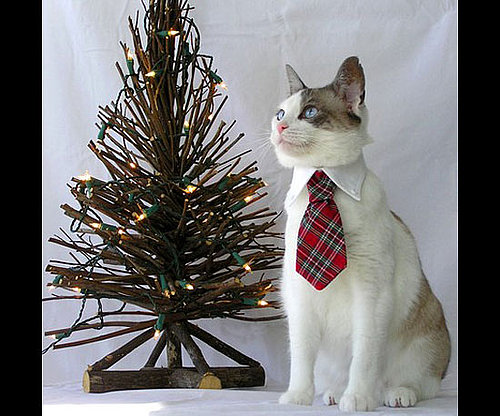 Christmas Tartan Ties Christmas Tartan Ties
