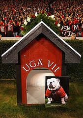 What's Your Take: Is It Mean to Have Live Dog Mascots? What's Your Take: Is It Mean to Have Live Dog Mascots?