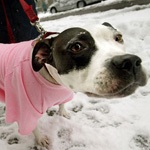 Ease Into Winter With These Six Tips