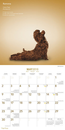 May — Cobra Pose