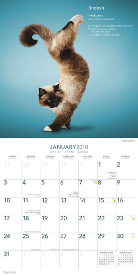 January — Headstand