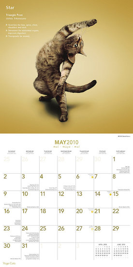 May — Triangle