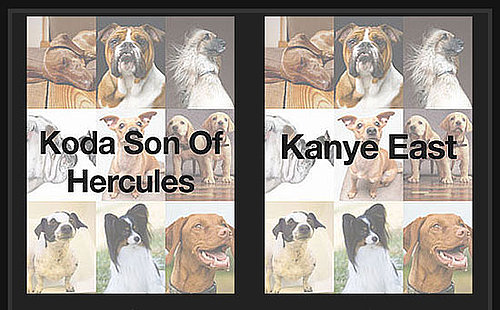Can You Tell Which Dog Name Is Wackiest For a Shot at $1,000?