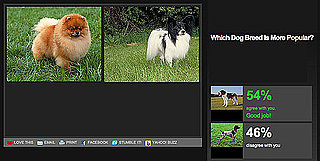 Play Our Newest Faceoff to Pick Which Dog Breed Is More Popular