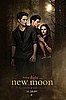 Biggest Headline of 2009: New Moon Mania