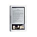 Barnes and Noble Nook ($259) 