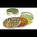 Coaster Set ($20)
