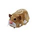 Hamster