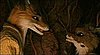 The Fantastic Mr. Fox