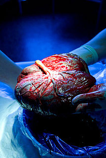 The Pleasures of Placenta Keep Expanding 