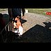 Sneak Peek: Final Episode of Jon and Kate Plus 8