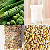 Favorite Tips of 2009: 18 Foods to Eat to Fuel a Pregnant Body