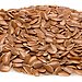 Flax Seed