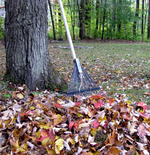 Tips For Cleaning the Yard Without Breaking Your Back