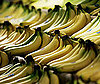 Does the Morning Banana Diet Work?