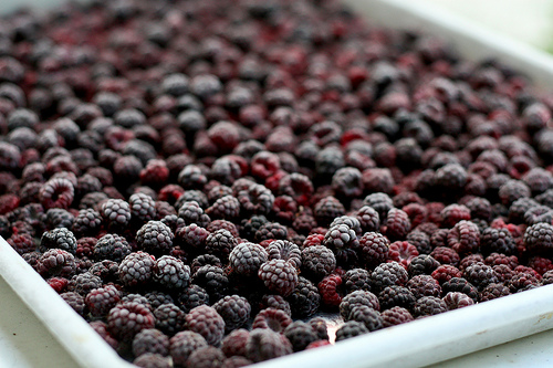How to Freeze Produce At Home