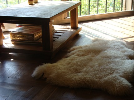 Keep you toes warm with this Sheepskin Rug ($65). Keep you toes warm with this Sheepskin Rug ($65).