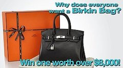 Why Does Everyone Want a Birkin Bag? Why Does Everyone Want a Birkin Bag?