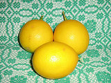 Lemon Cornmeal Cake Lemon Cornmeal Cake